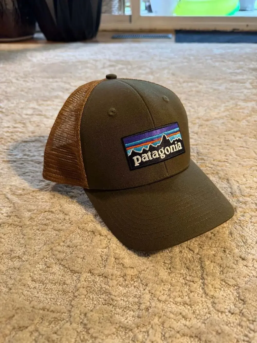 Patagonia P-6 Logo Trucker Hat in Basin Green/Brown